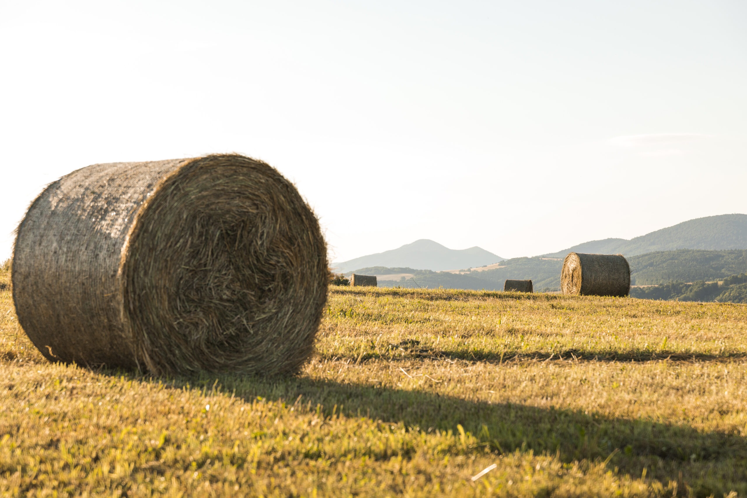 séchage agricole 2
